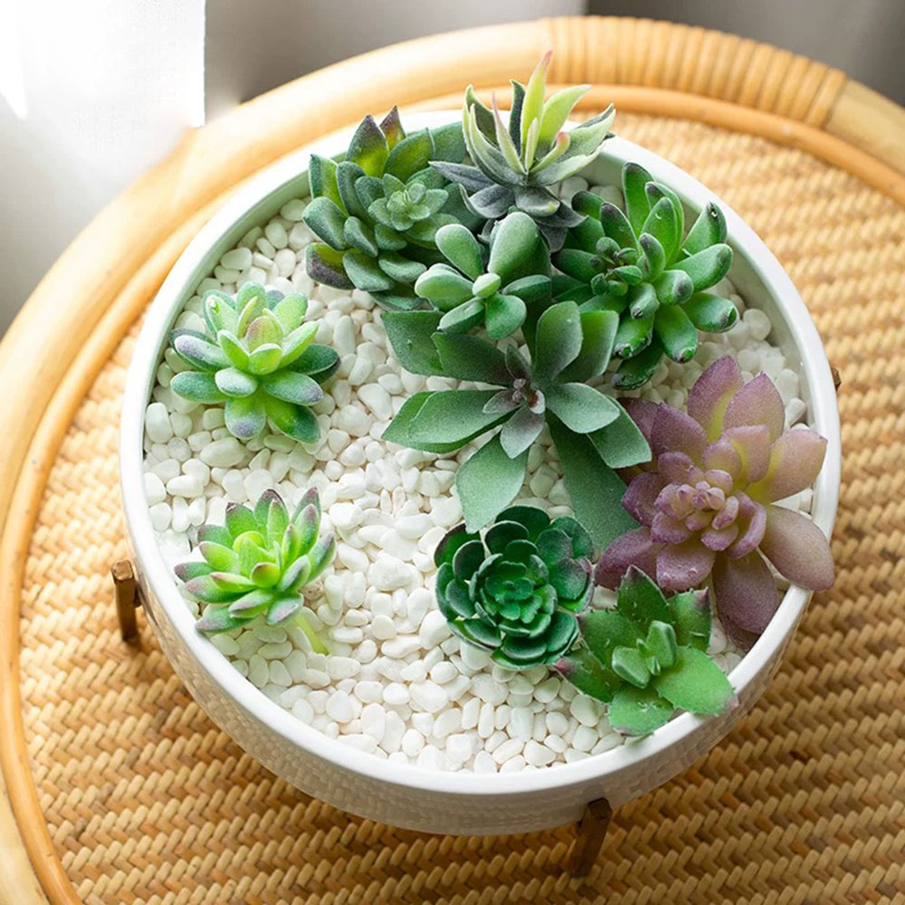 31 سنتيمتر جولة الاسمنت اناء ل - مراجعة Terrazzo Pot Cement وسعره